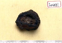 藏品(鹿角環)的圖片